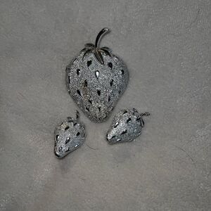 Vintage Sarah Coventry   Brooch and clip on earring set